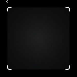 Meet your Posher, Rose